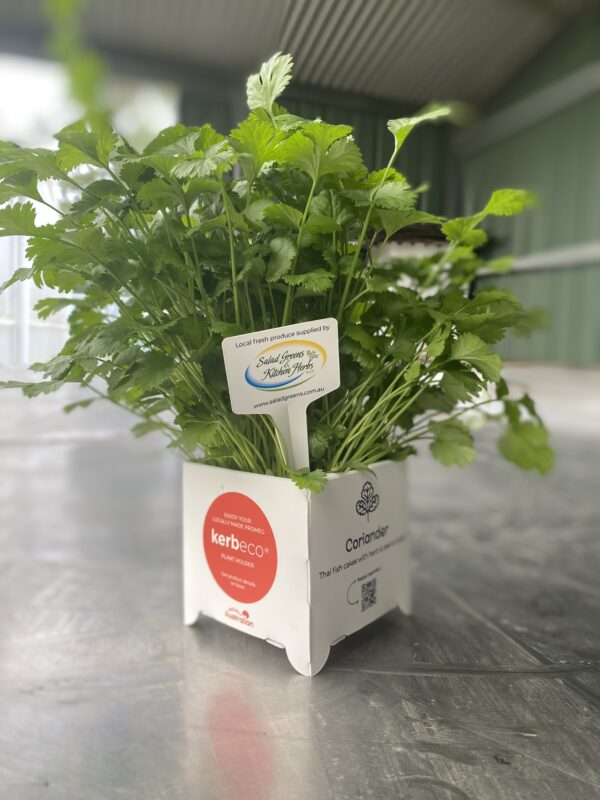 corex-hort-conections-salad-greens (4)