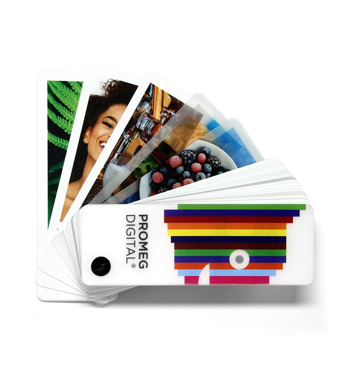 DIGITAL SWATCH 1 (1200 x 1320)