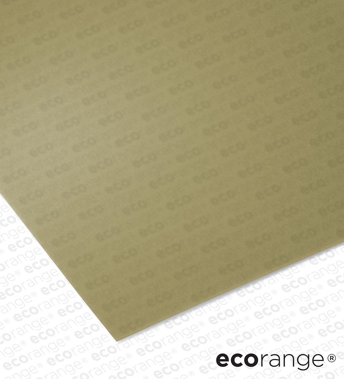 ECORANGE TRANSECO v2 (2) (1200 x 1320)