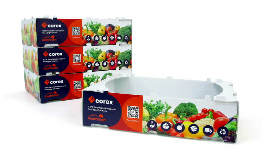 corex-corflute-eco-products (4)